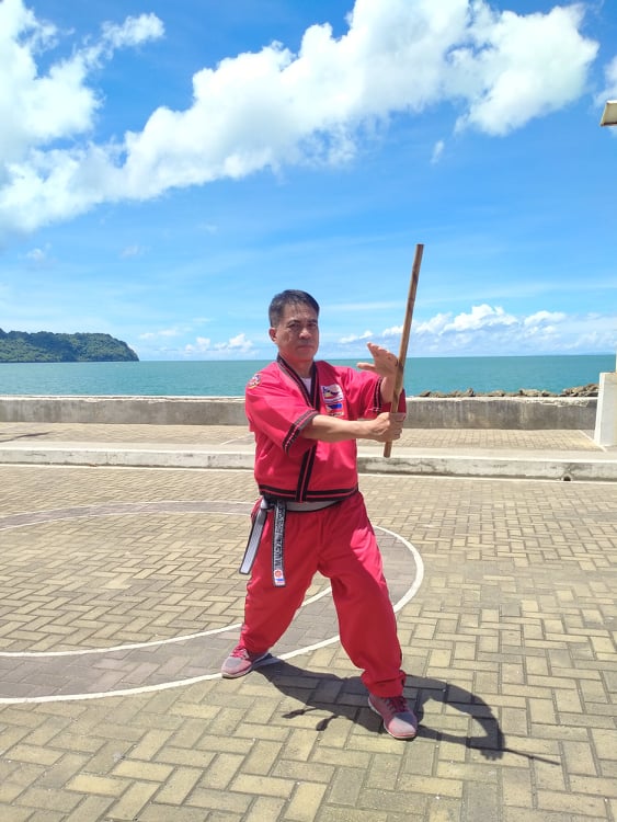 UPV prof wins in national arnis competition