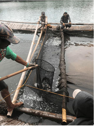 Capiz fish farmers laud CFOS-IA’s livelihood support program