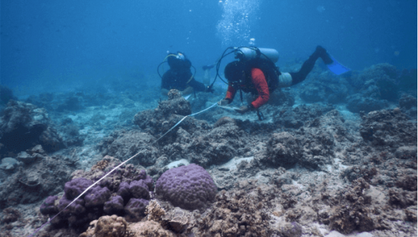 CFOS-IMFO conducts coral reefs assessment training in Antique