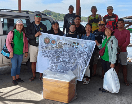 Guimaras fisherfolks first recipient of hatchery-produced green mussel (tahong) spats from UPV-CFOS, BFAR 6 collaboration