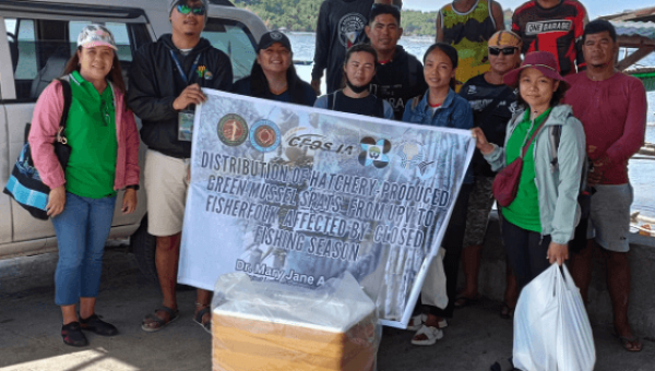 Guimaras fisherfolks first recipient of hatchery-produced green mussel (tahong) spats from UPV-CFOS, BFAR 6 collaboration