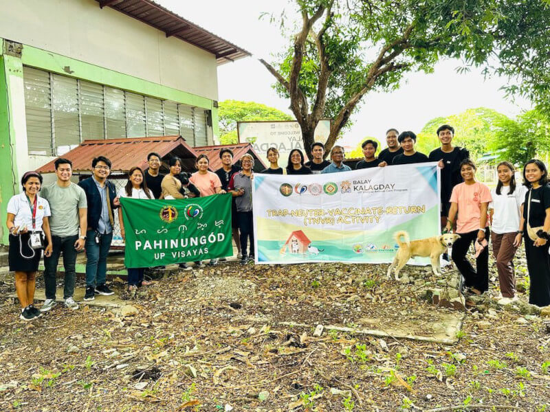 Campus cats and dogs benefit from UPV UP/OC’s TNVR