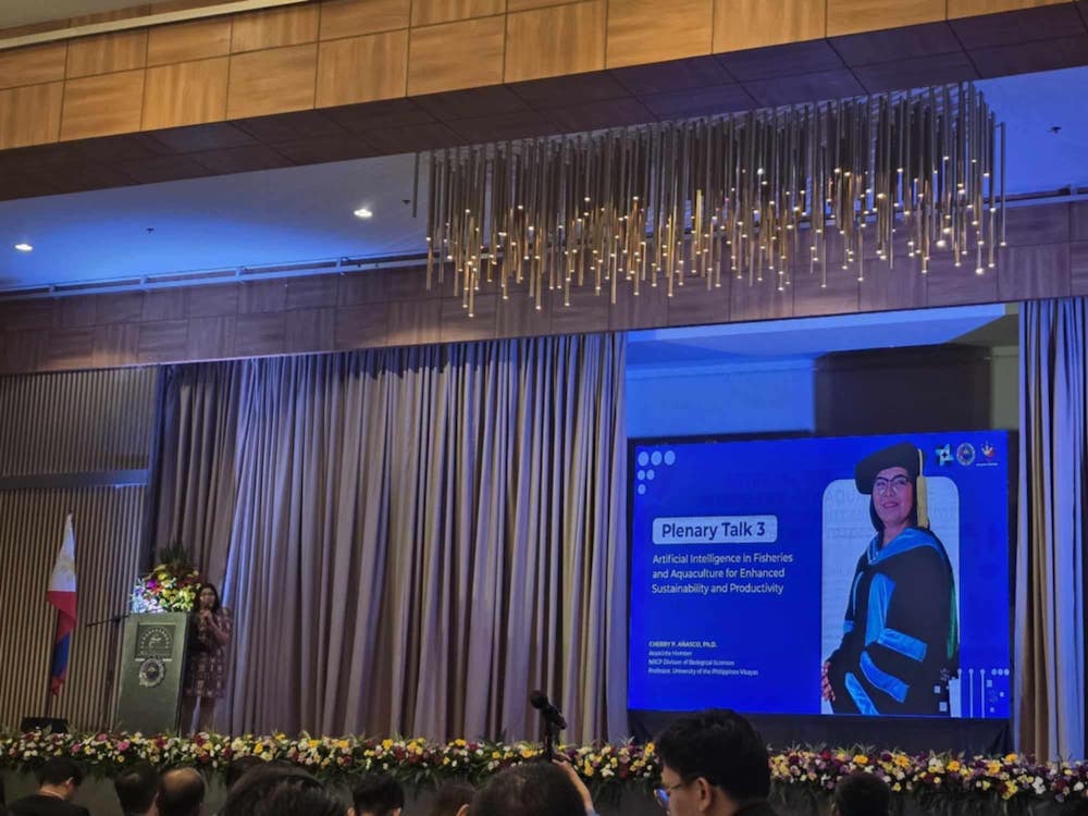 Añasco gives plenary talk at 2024 NRCP scientific conference