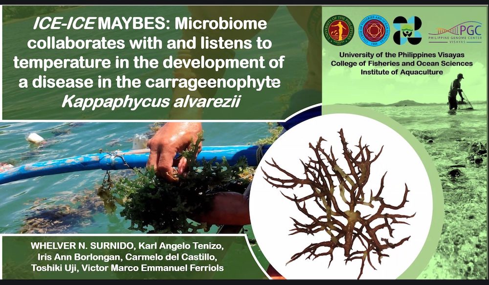 UP Visayas participates in the 2024 Global Reach Symposium