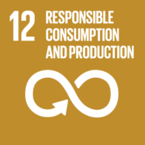 sdg12