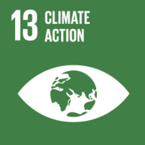 sdg13