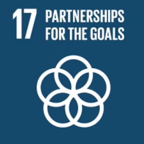 sdg17